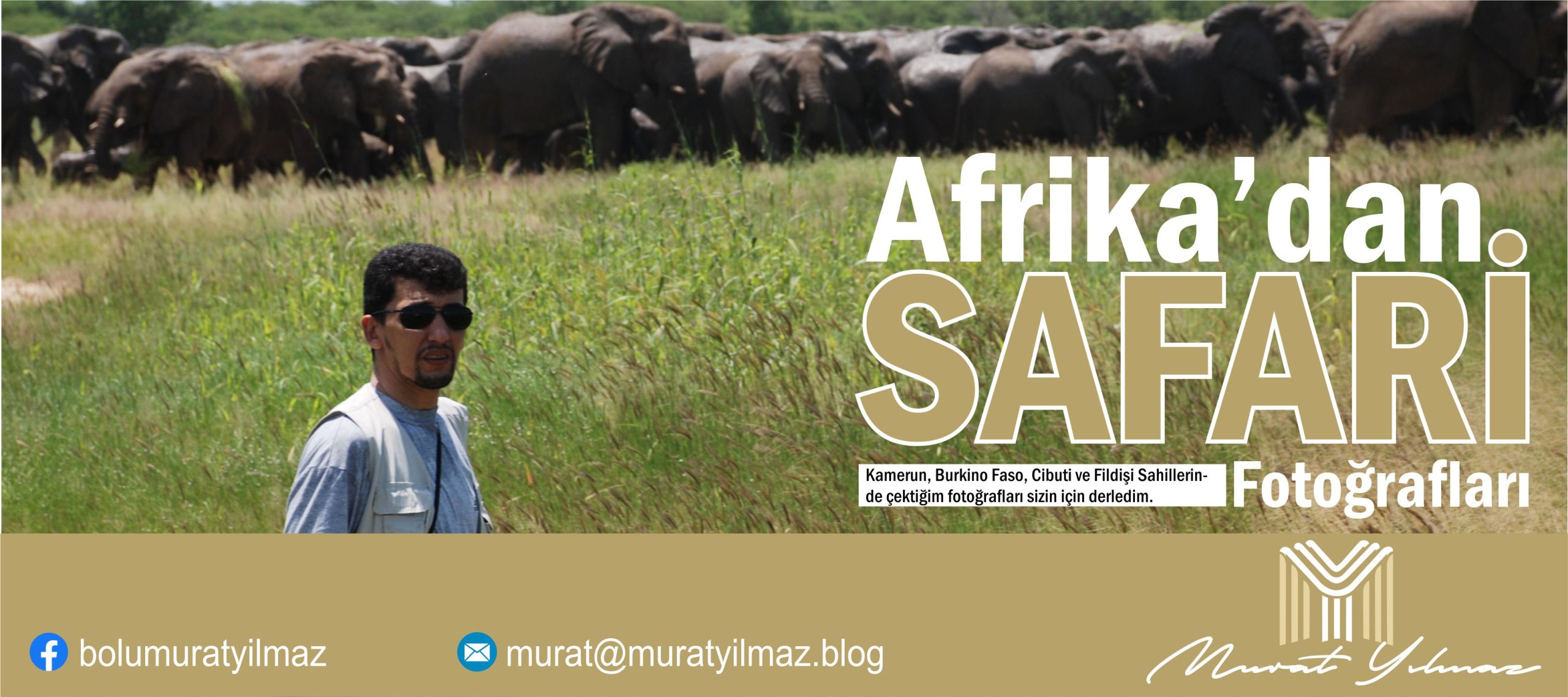 Afrikadan SAFARİ Fotoğrafları